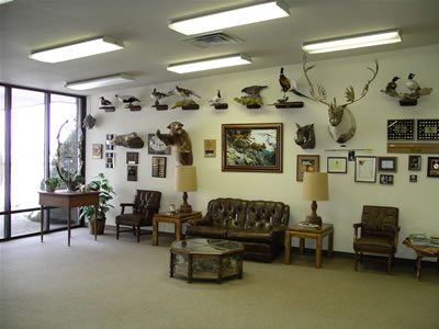 Some of the impressive mounted trophies in the Martin vestibule